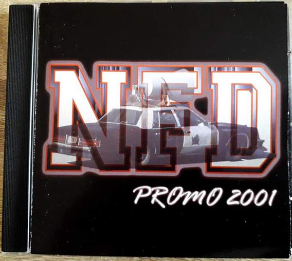 NEVER FACE DEFEAT - Promo 2001 cover 