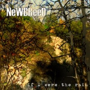 NEWBREED - If I Were the Rain cover 