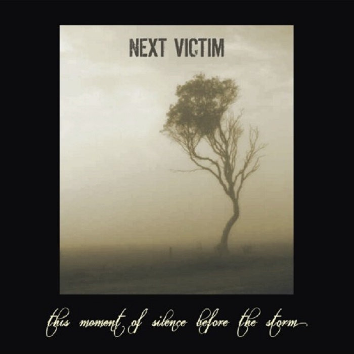 NEXT VICTIM - This Moment Of Silence Before The Storm cover 