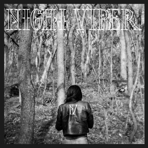 NIGHT VIPER - Night Viper cover 