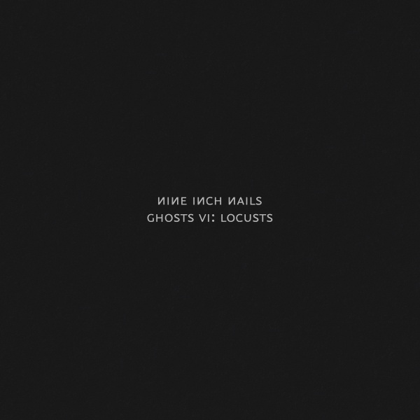 NINE INCH NAILS - Ghosts VI: Locusts cover 