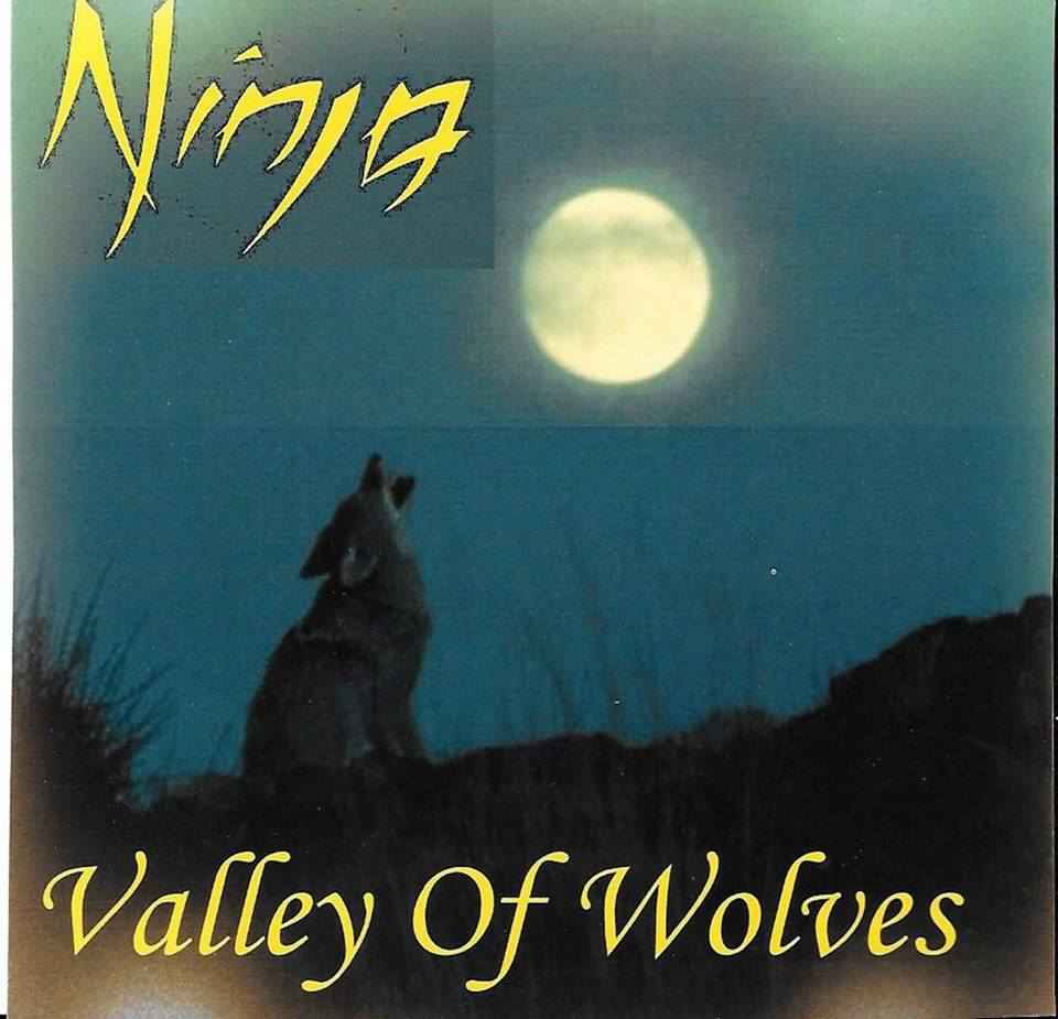 NINJA - Valley of Wolves cover 