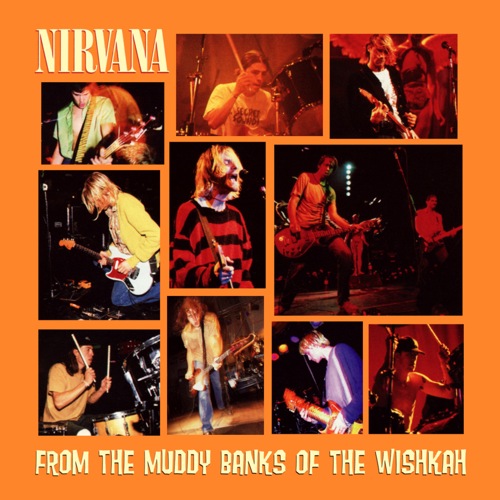 NIRVANA - From the Muddy Banks of the Wishkah cover 