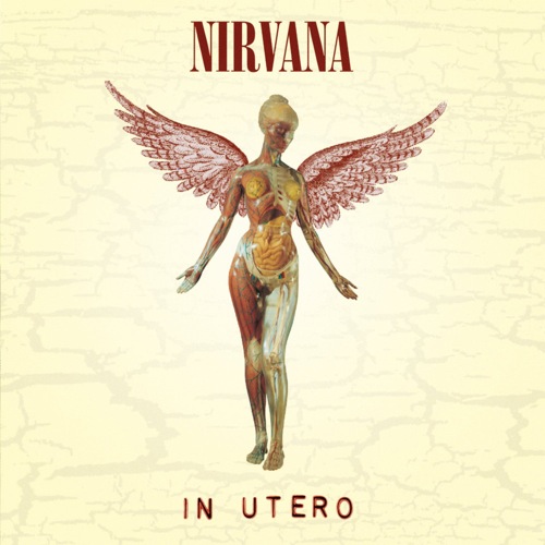 NIRVANA - In Utero cover 
