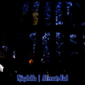 NJIQAHDDA - Alternate End cover 
