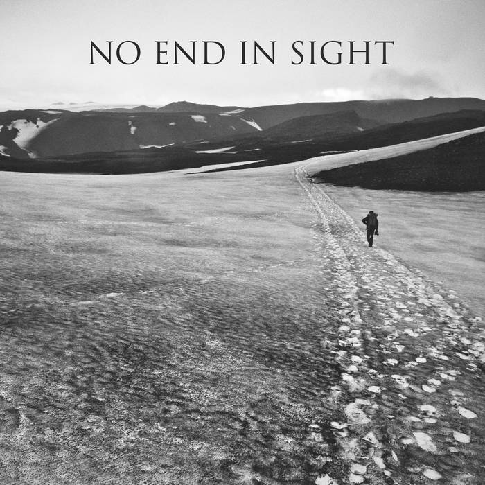 NO END IN SIGHT - No End In Sight / Seek Nothing cover 