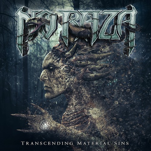 NO RAZA - Transcending Material Sins cover 