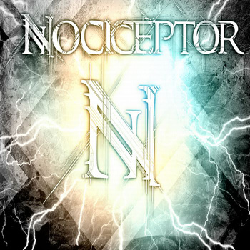 NOCICEPTOR - Among Insects cover 