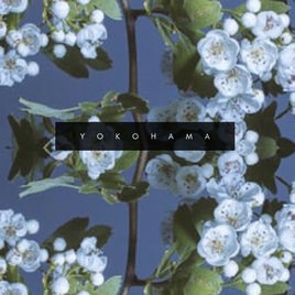 NOISEAST - Yokohama cover 
