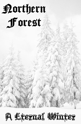 NORTHERN FOREST - A Eternal Winter cover 
