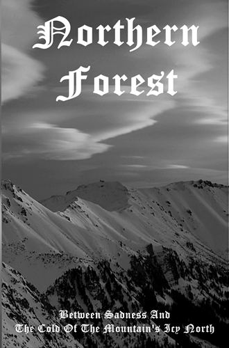 NORTHERN FOREST - Between Sadness and the Cold of the Mountain's Icy North cover 