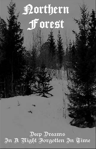 NORTHERN FOREST - Deep Dreams in a Night Forgotten in Time cover 