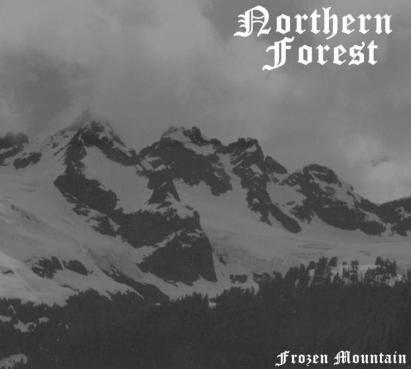 NORTHERN FOREST - Frozen Mountain cover 