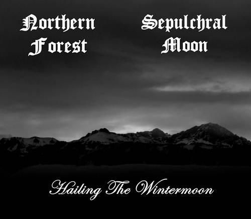 NORTHERN FOREST - Hailing the Wintermoon cover 