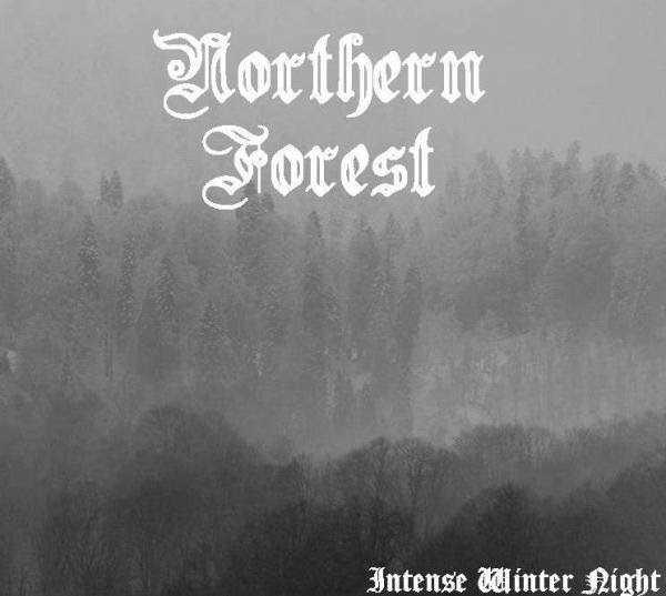 NORTHERN FOREST - Intense Winter Night cover 