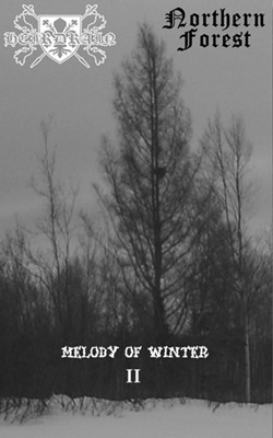 NORTHERN FOREST - Melody of Winter II cover 