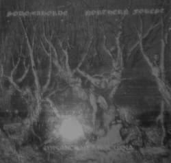 NORTHERN FOREST - Misantropia Noturna cover 