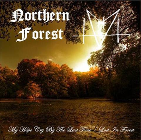 NORTHERN FOREST - My Hope Cry by the Last Time / Lost in Forest cover 