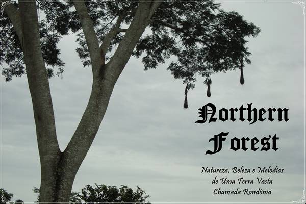 NORTHERN FOREST - Natureza, Beleza e Melodias De Uma Terra Vasta Chamada Rondônia cover 