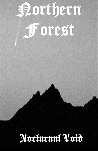 NORTHERN FOREST - Nocturnal Void cover 