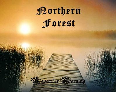 NORTHERN FOREST - November Morning cover 