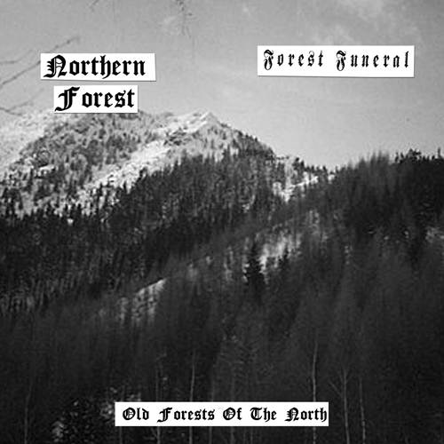 NORTHERN FOREST - Old Forests of the North cover 