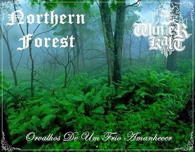 NORTHERN FOREST - Orvalhos de Um Frio Amanhecer cover 
