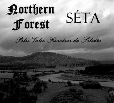 NORTHERN FOREST - Pelos Vales Fúnebres da Solidão cover 