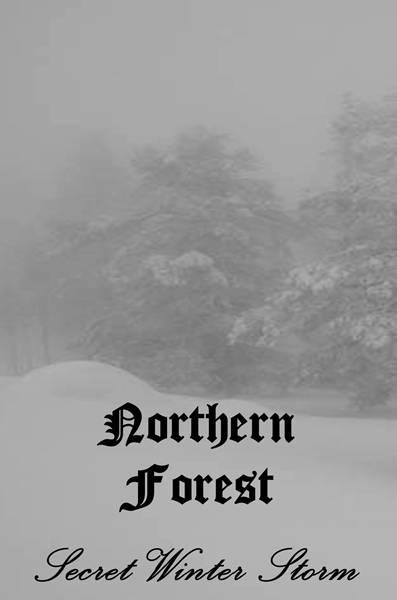 NORTHERN FOREST - Secret Winter Storm cover 