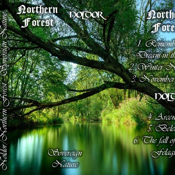 NORTHERN FOREST - Sovereign Nature cover 