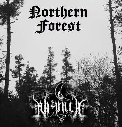 NORTHERN FOREST - Spirits of Suffering cover 
