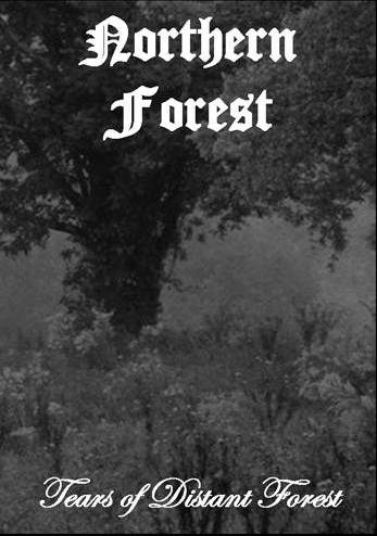 NORTHERN FOREST - Tears of Distant Forest cover 