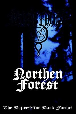 NORTHERN FOREST - The Depressive Dark Forest cover 