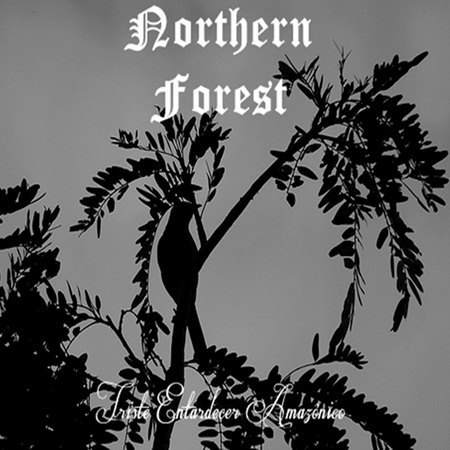 NORTHERN FOREST - Triste Entardecer Amazônico cover 