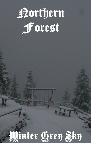 NORTHERN FOREST - Winter Grey Sky cover 