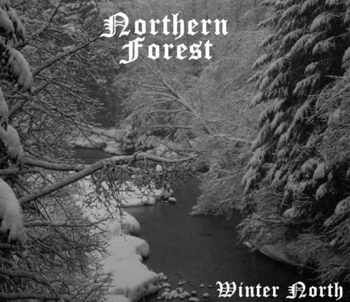 NORTHERN FOREST - Winter North cover 