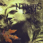 NOVEMBERS DOOM - For Every Leaf That Falls cover 