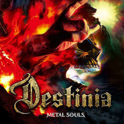 NOZOMU WAKAI'S DESTINIA - Metal Souls cover 