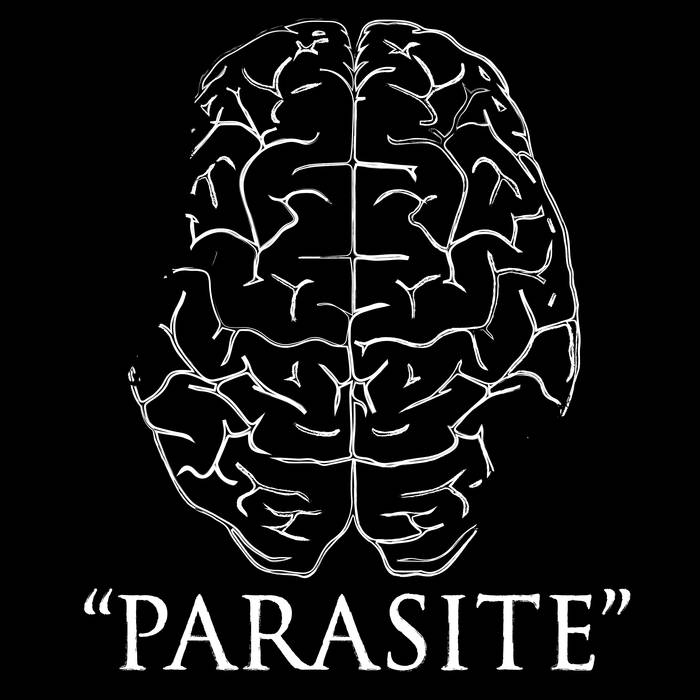 NULLITY - Lead Dance / Parasite cover 