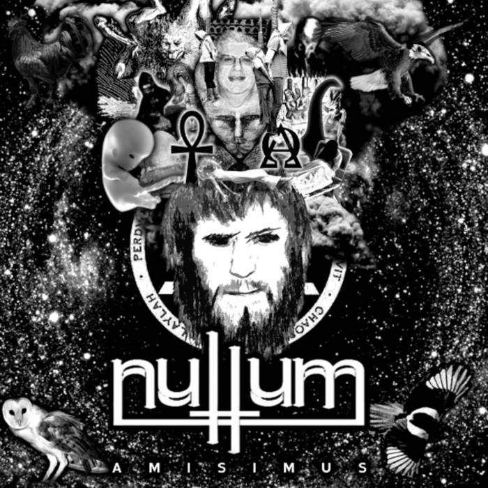 NULLUM - Amisimus cover 