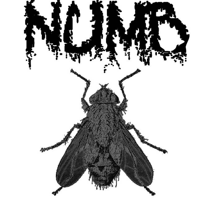 NUMB (WA) - Numb cover 