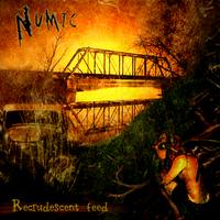 NUMIC - Recrudescent Feed cover 