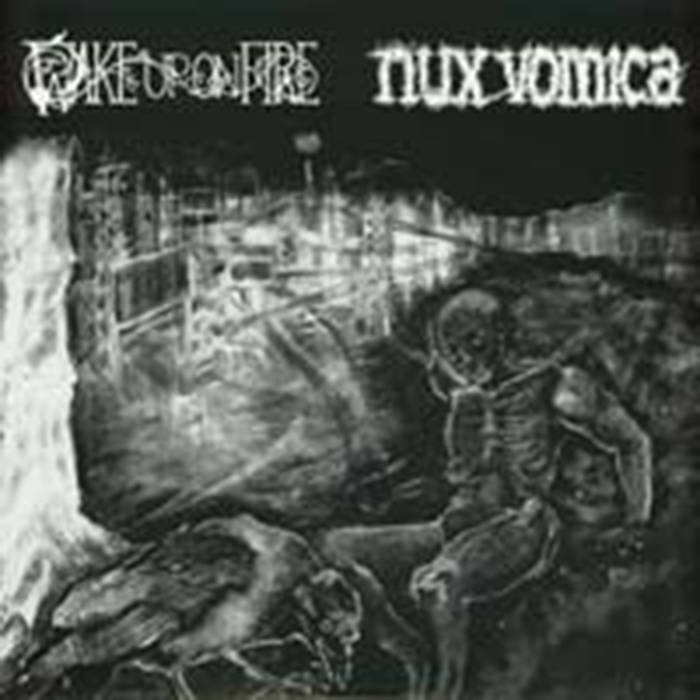 NUX VOMICA - Nux Vomica / Wake Up On Fire cover 