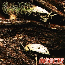 NYCTOPHOBIC - Insects cover 