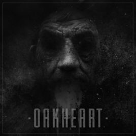 OAKHEART - I'm Not Fine cover 