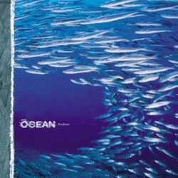 THE OCEAN - Fluxion cover 