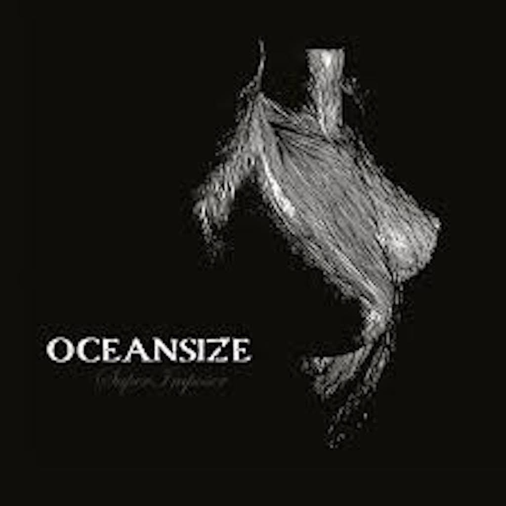 OCEANSIZE - SuperImposer cover 