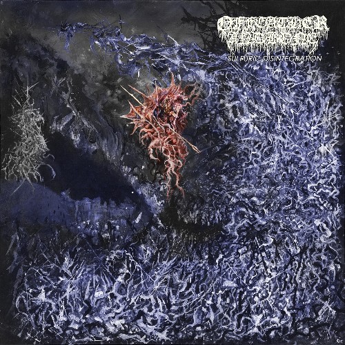 OF FEATHER AND BONE - Sulfuric Disintegration cover 