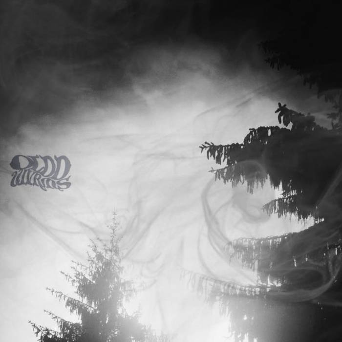 OLDD WVRMS - Mater Serpentium cover 