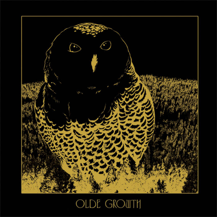 OLDE GROWTH - Owl cover 